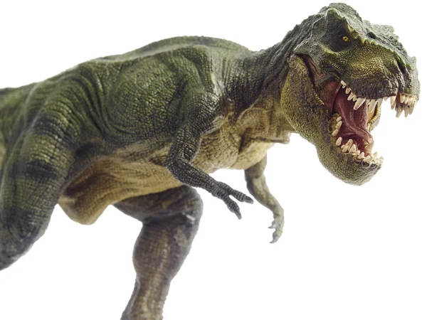 dinozor