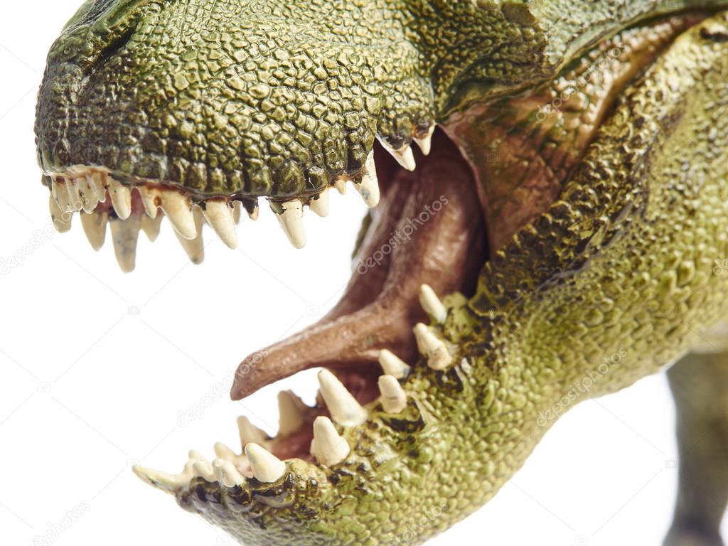 asli ka dinosaur