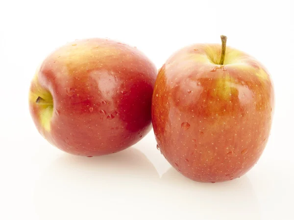 Äpple — Stockfoto