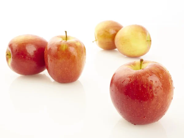 Äpple — Stockfoto