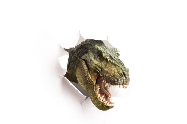 dinozor