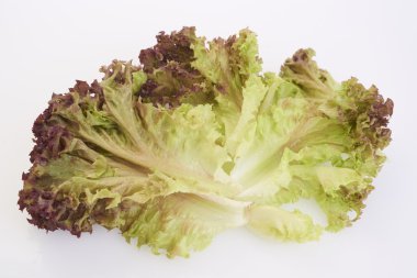 kırmızı marul