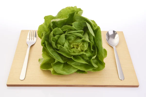 Kopfsalat — Stockfoto