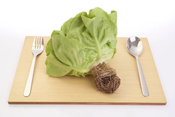 Kopfsalat — Stockfoto