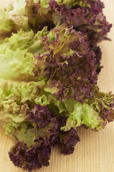 Red lettuce — Stock Photo, Image