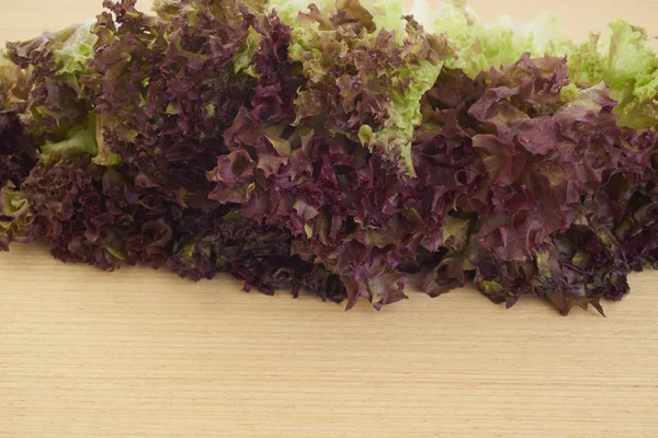 Red lettuce — Stock Photo, Image