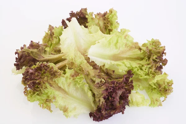 Red lettuce — Stock Photo, Image