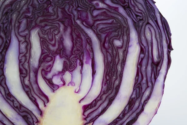 Purple cabbage — Stock Photo, Image