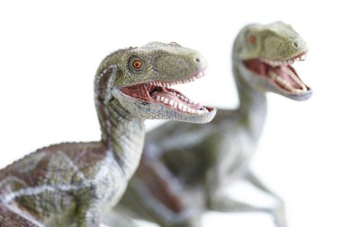 dinozor