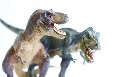 dinozor
