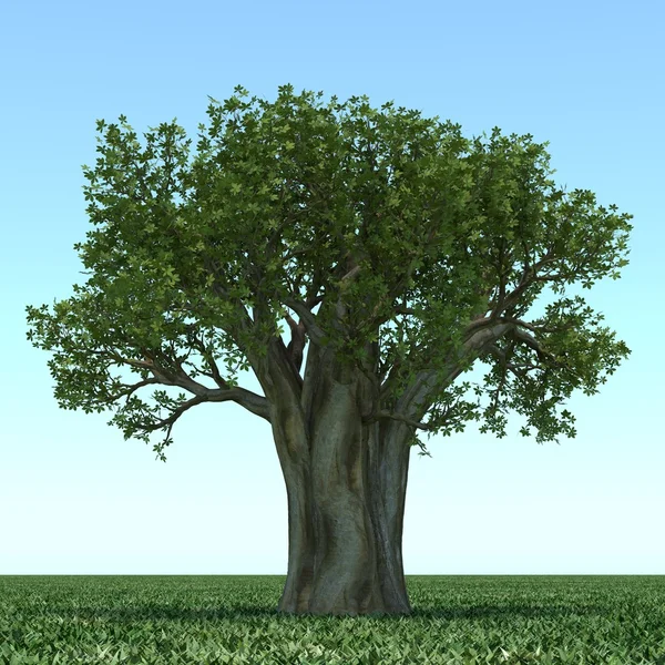 3D-Baum — Stockfoto