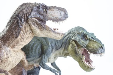 dinozor