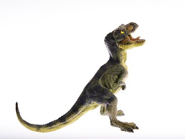dinozor