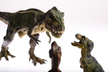 dinozor
