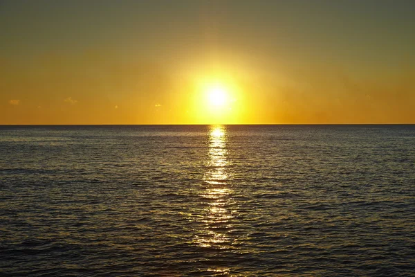 Naturaleza — Foto de Stock