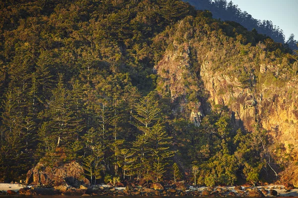 Naturaleza — Foto de Stock