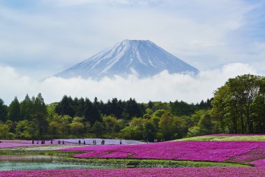 Japonca