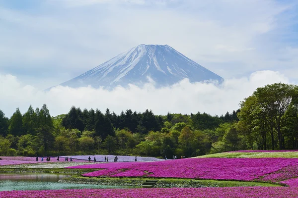 Japán — Stock Fotó