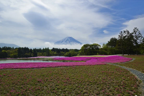 Japón. — Foto de Stock