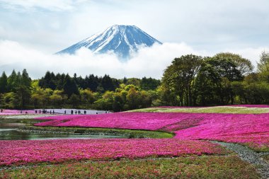 Japonca