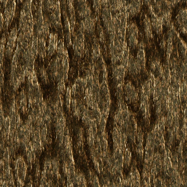 Textura del árbol de corteza — Foto de Stock