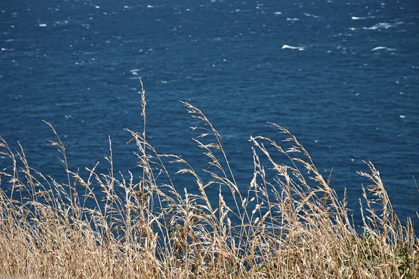 Naturaleza —  Fotos de Stock