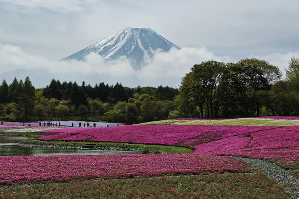 Japón. — Foto de Stock