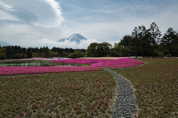 Japans — Stockfoto