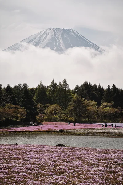 Japão — Fotografia de Stock