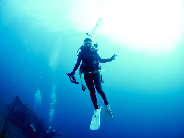 Mergulhador com coral Imagens De Bancos De Imagens Sem Royalties