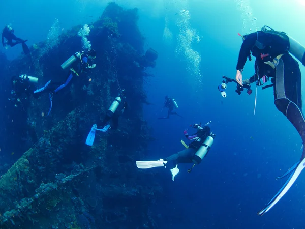 Mergulhador com coral Imagens De Bancos De Imagens