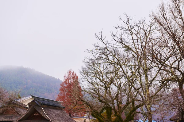 Outono no Japão — Fotografia de Stock