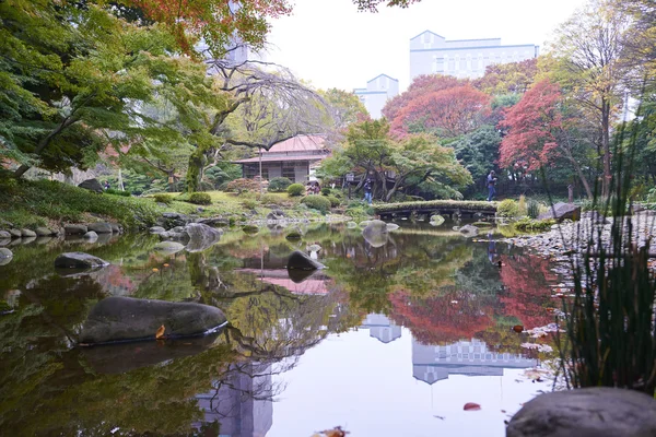 Koishikawa korakuen bahçesi — Stok fotoğraf