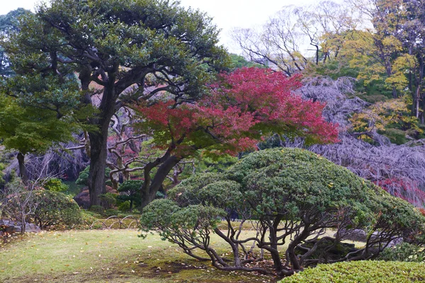 Koishikawa korakuen kert — Stock Fotó