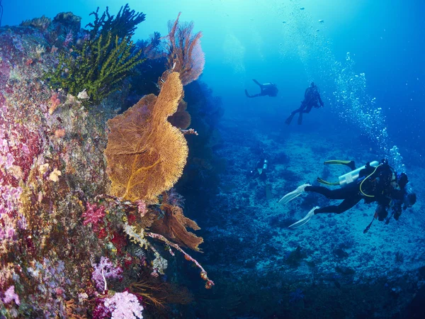 Bajo el mar en Tailandia — Foto de Stock