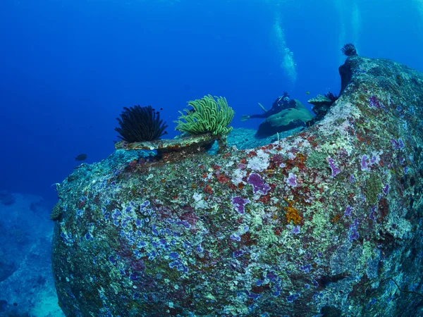 Bajo el mar en Tailandia — Foto de Stock