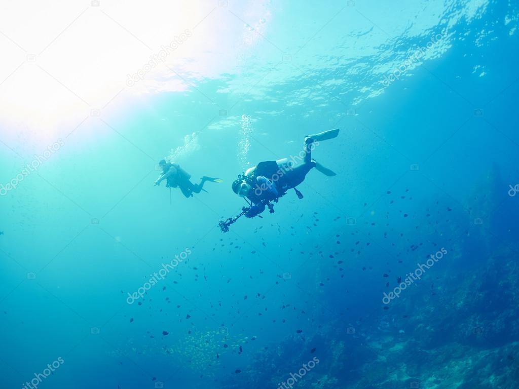 soft coral in underwater