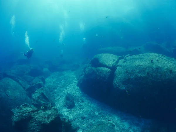 Buceador wtih arrecife caral — Foto de Stock