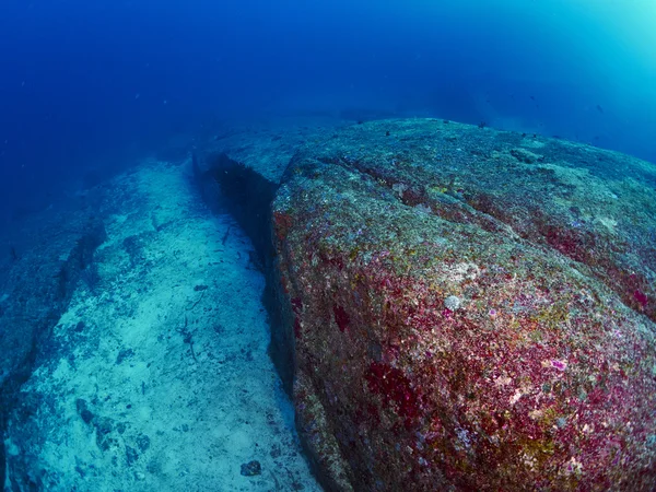 Buceador wtih arrecife caral — Foto de Stock