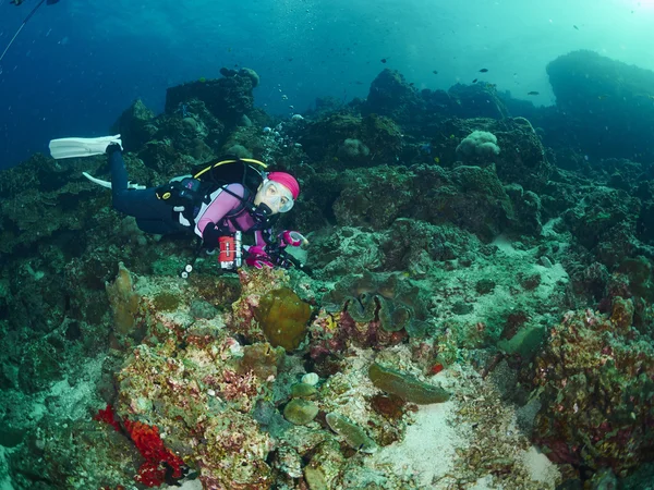 Jätte mussla och diver — Stockfoto