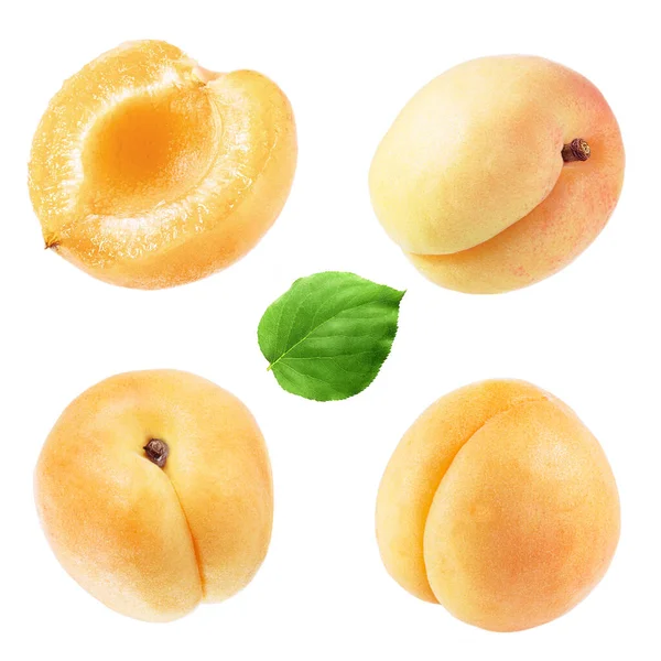 成熟的 芳香的 有机的杏仁 为设计师准备的材料 杏仁的所有部分 — 图库照片