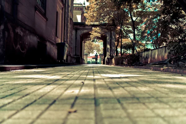 binalar ve ağaçlar ile şehir yere