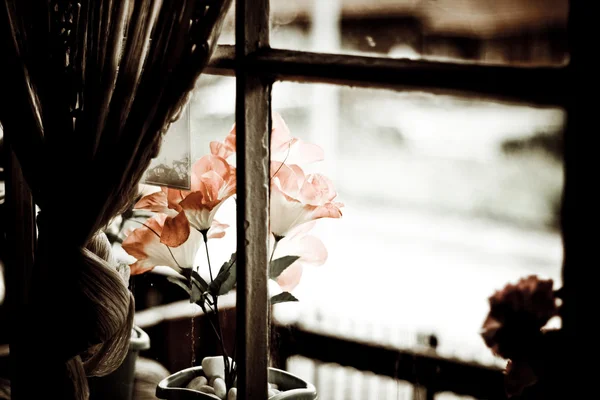 Pencerede çiçekler