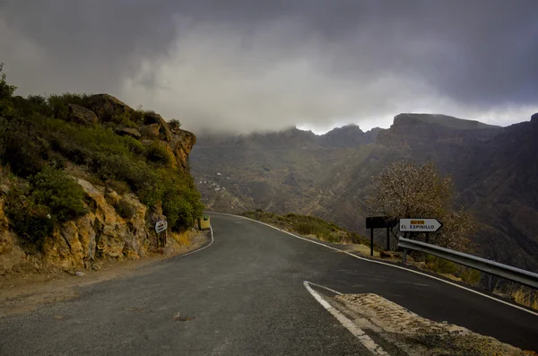 Converging mountain roads in mist — Stock Photo, Image