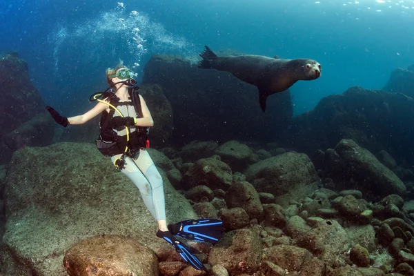 Schöne blonde Mädchen spielt mit Seelöwe unter Wasser — Stockfoto