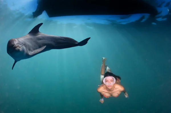 Delfín bajo el agua se encuentra con una buceadora latina — Foto de Stock