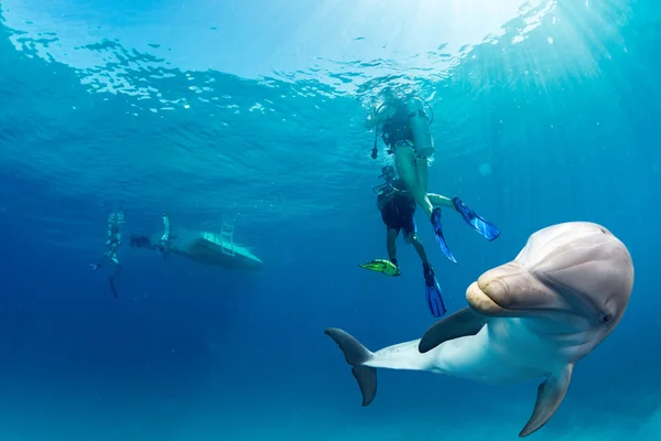 Delfin pod wodą na tle błękitnego oceanu — Zdjęcie stockowe