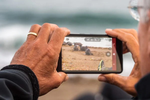 Photographer taking picture of sea lion — Stock Photo, Image