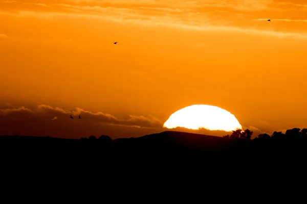 Nascer do sol vermelho na praia da patagônia — Fotografia de Stock