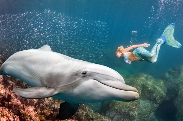 Dolfijn onderwater voldoet aan een blonde zeemeermin — Stockfoto